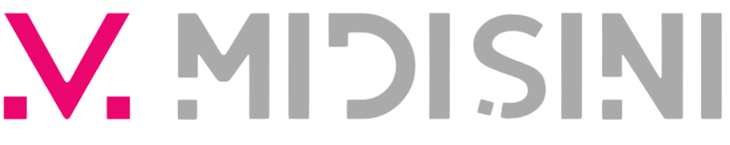 Midisini Marketing Ltd | Digital Marketing & Website Solutions for Small Businesses in Rural Ontario